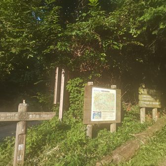 鷹山公園の分岐点に到着
ここから直進が竜王山への登山口
でも、水分が足りないので諦めました
熱中症は怖いですからねー
