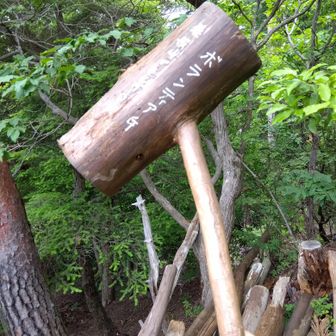 大岩展望台にもハンマーみっけ！
「ハンターチャンス」