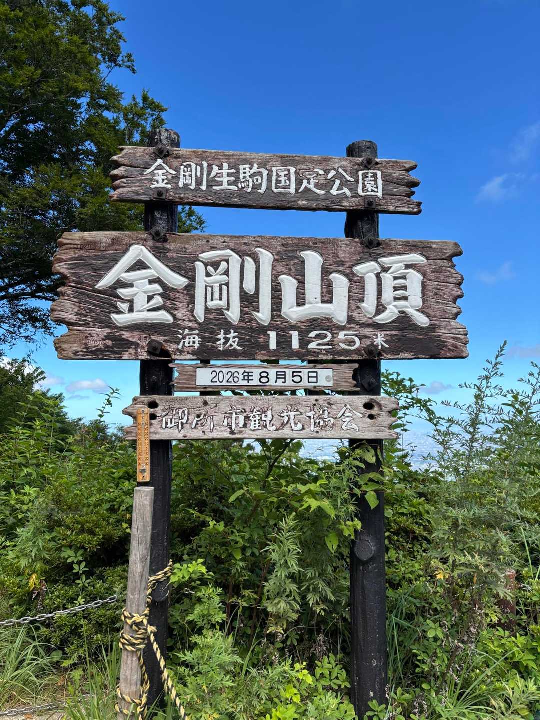 金剛山（もみじ谷-太尾尾根）の写真