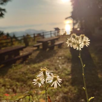 わぁ〜い🌊Ocean　View　(^^)/
🎄東京ｽｶｲﾂﾘｰと同じ高さだね