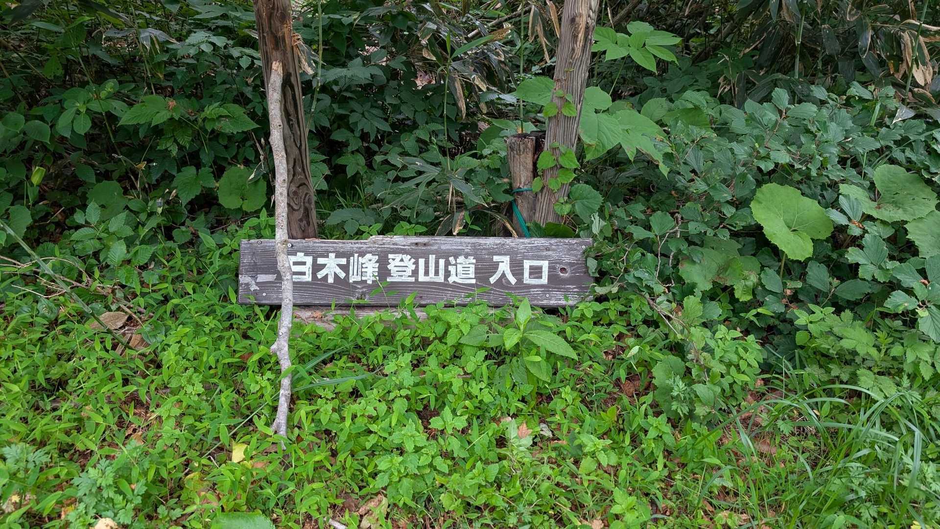 チームたつめ！スターティン👣