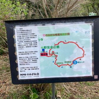 今回のルート。
NPOさん、お手入れいただき感謝