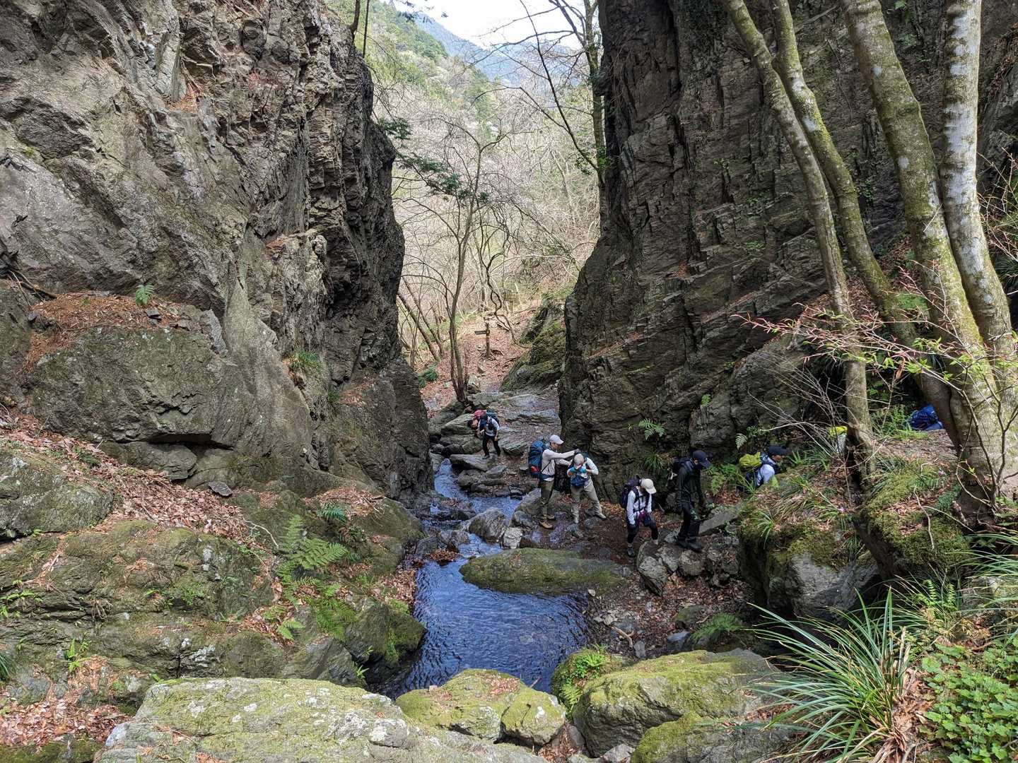 さわらびの湯バス停〜御嶽駅｜棒ノ嶺・岩茸石山・惣岳山縦走コースの写真