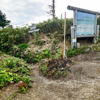 登山口まで帰ってきました。