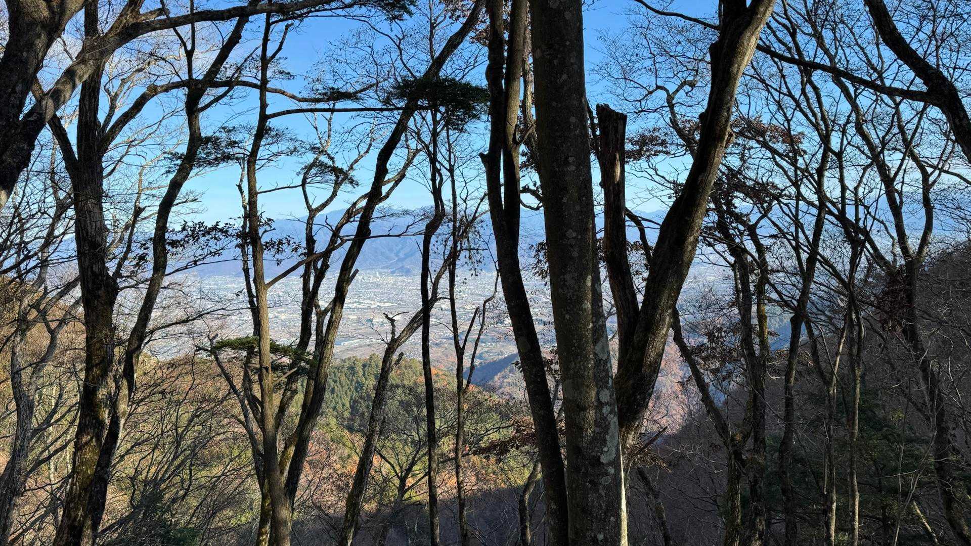 葉が落ちているので甲府盆地の景色が見えます