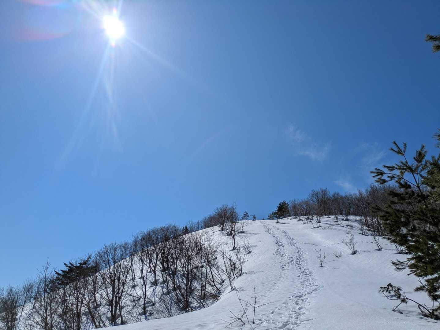 大倉岳のビクトリーロード😁