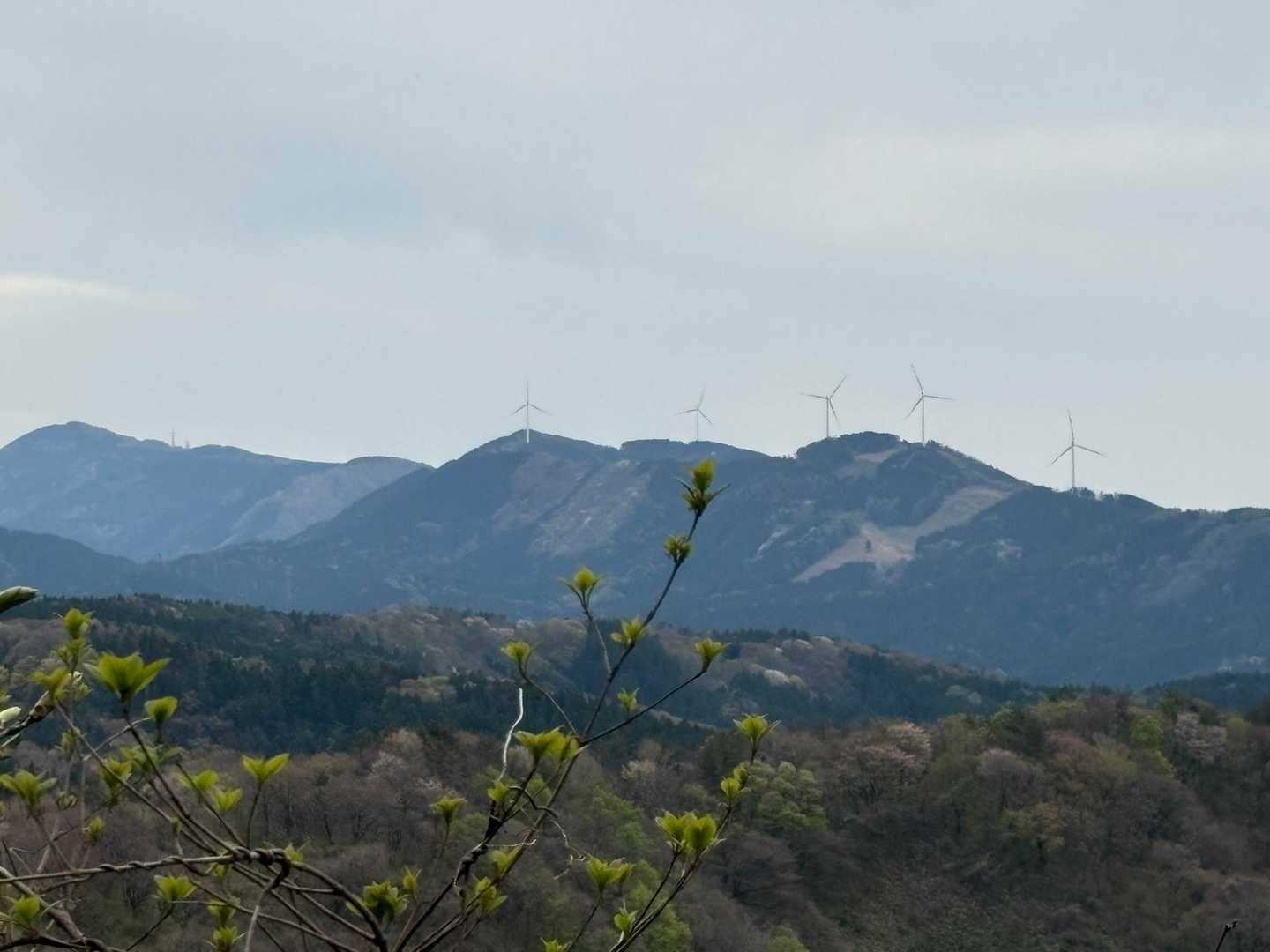 荒倉山登山道入口-荒倉山-池ノ台-荒倉山登り口 周回コースの写真