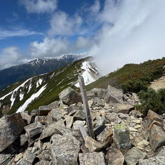 抜戸岳　山頂
健脚な方は弓折岳へ周回される