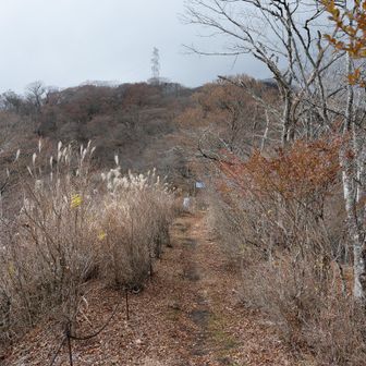 奥に三国山へ続く道。
送電鉄塔が見えます。