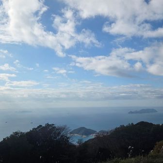 角島が見える🫠
剣先イカーーー🦑