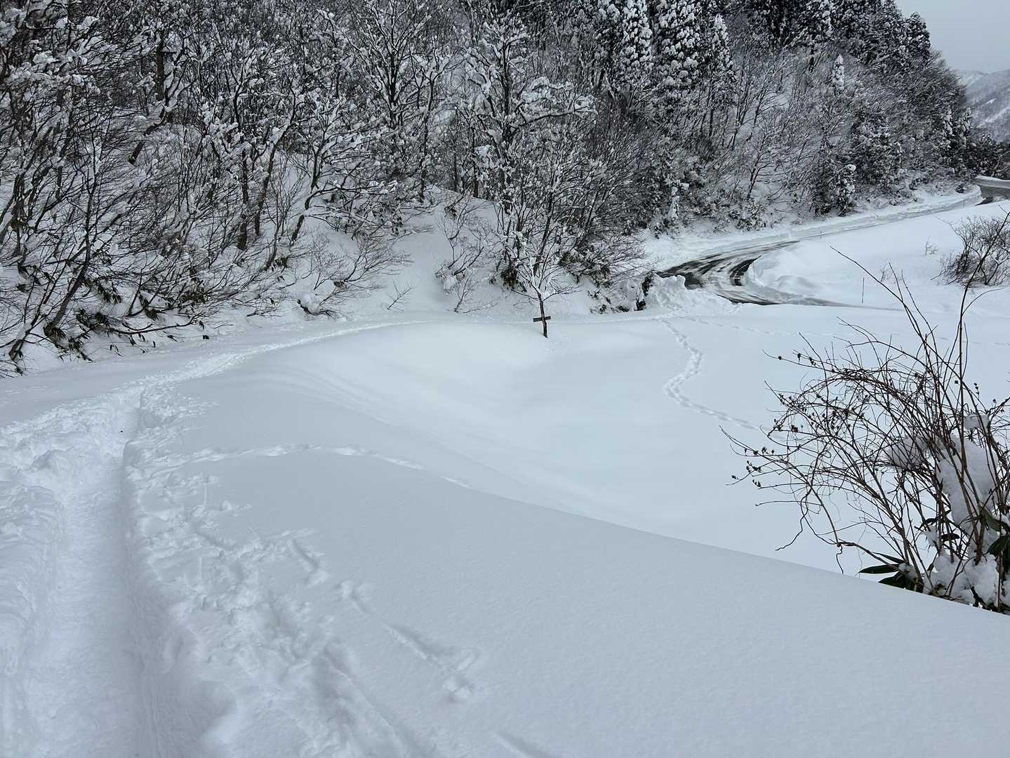 来拝山 周回コースの写真