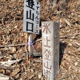 すずらんコース登山口に着きました。すぐに登り返し