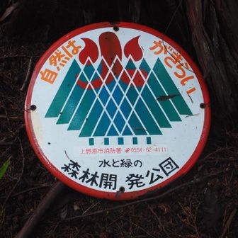 ついにまといリス🐿️はクビになったのか？