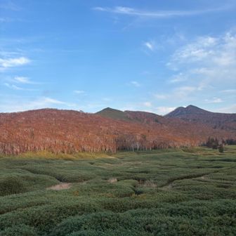 神仙沼✨⛰️