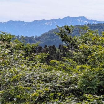 別山！