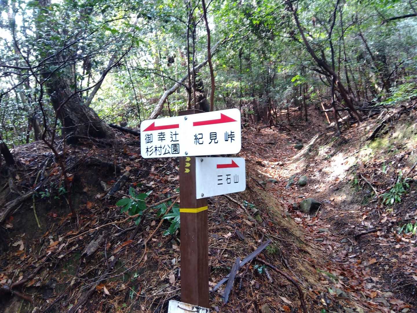 この分岐を紀見峠方面へ