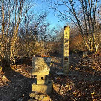 山梨百名山61座目の太刀岡山♪
YAMAPでは「南峰」となってますが…？
スタートから急登でした💦