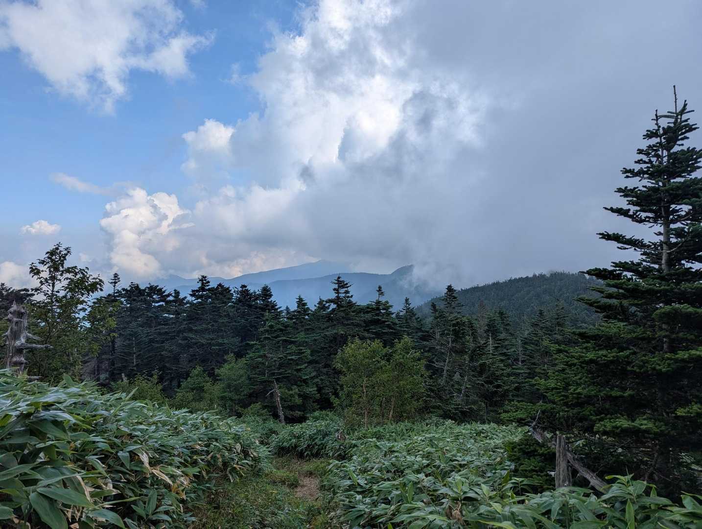 午後からは雨らしいから

急がねば🥾