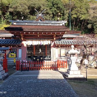 本殿に。少しは頭も良くなるように🙏