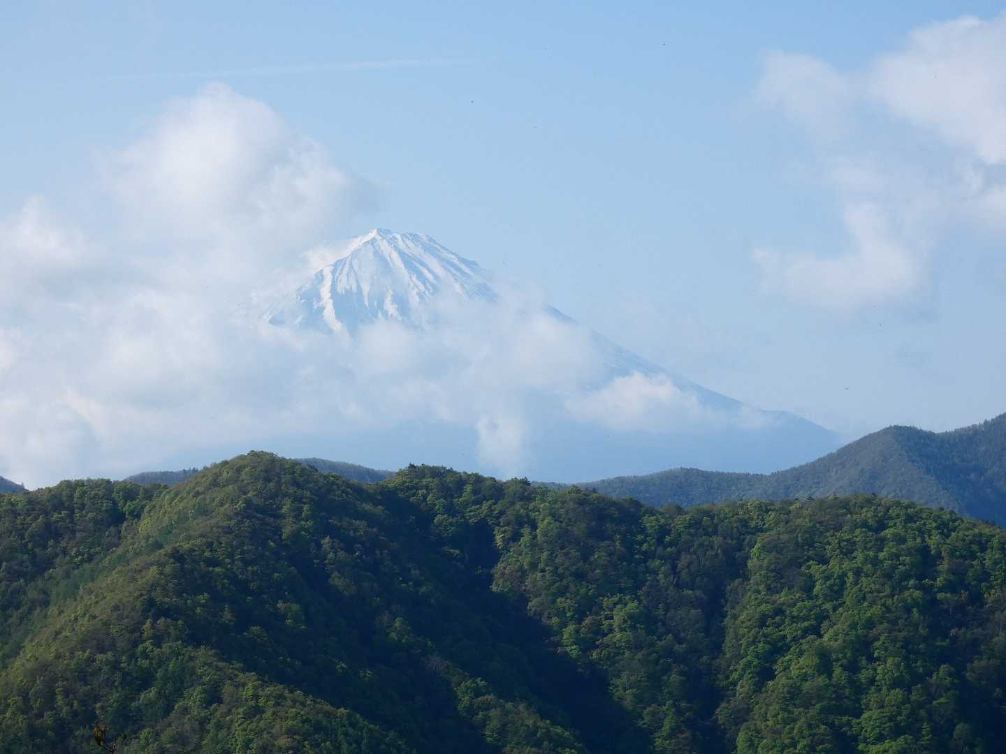 なんとか顔を出してくれた富士山
やっぱり存在感があります