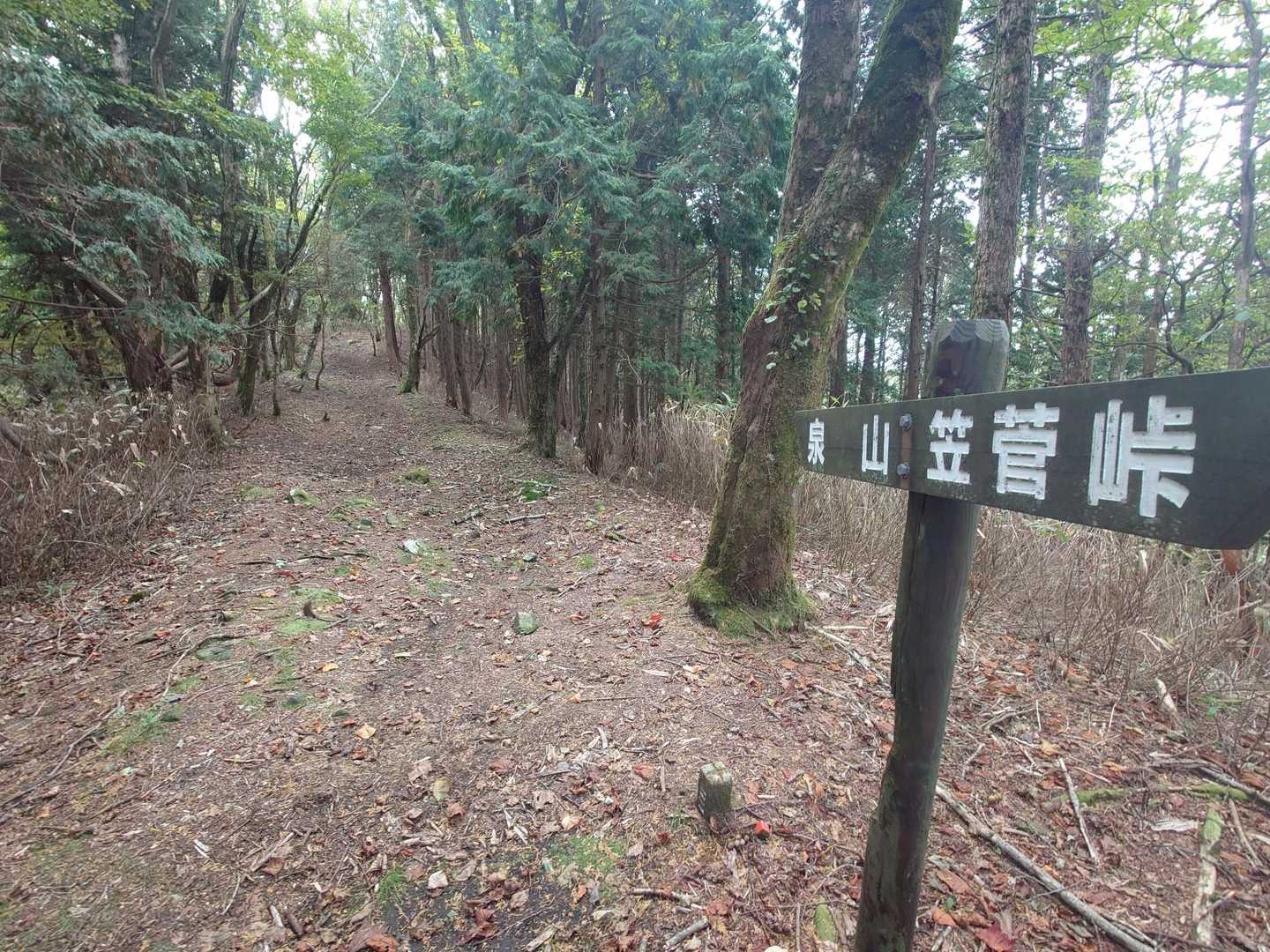 突き進みます。💦
