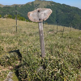 平和丸頂上