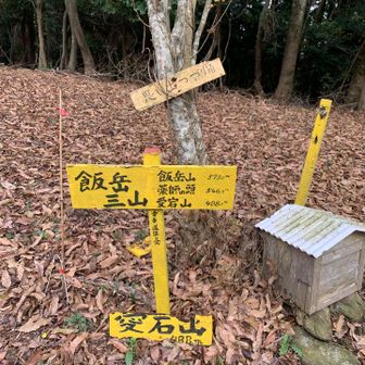 ⑨愛宕山登頂
眺望なし