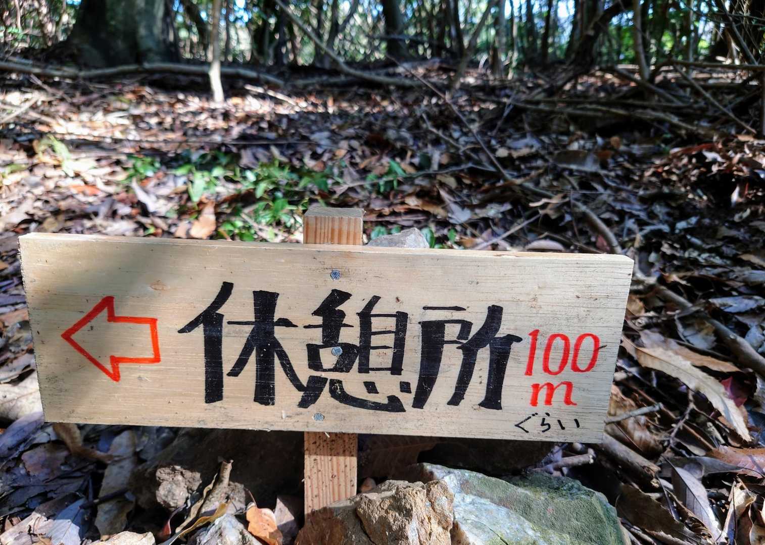 100mぐらい　って😄