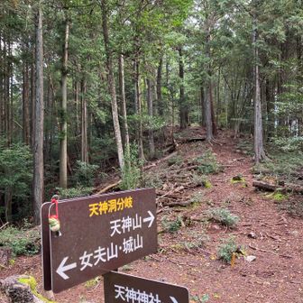 天神洞分岐🪧
