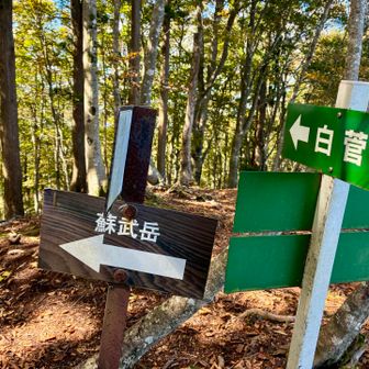 しっかり看板があります