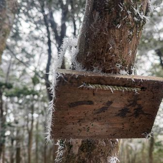 一ノ森あたりから雪が残ってました