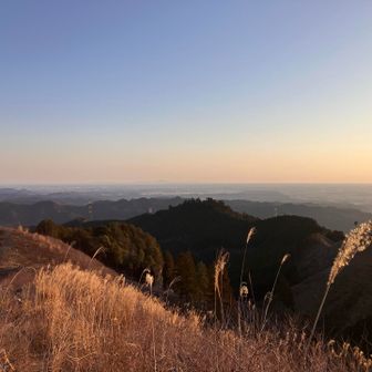 大パノラマです