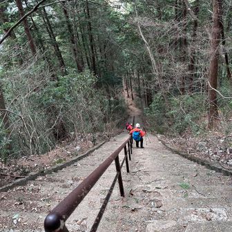 急な階段
そして無事ゲッザーン

ピークは合計18座デシタ
