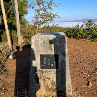 大平