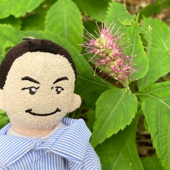 ミカエリソウ✨
今シーズン初めて😍

お花を見つけるとみんなでワイワイガヤガヤ順番に撮影するのでゆっくりペース😉