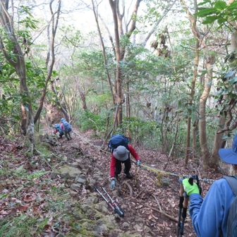 200m位のロープ場を下る