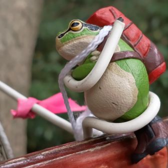 無事カエ～ル🐸さん