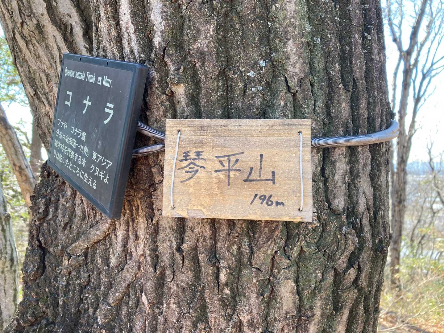 琴平山（群馬県みどり市）の写真