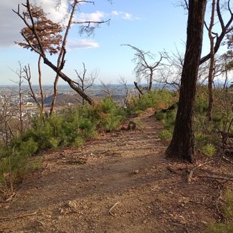 富士見岩はすぐそこ。