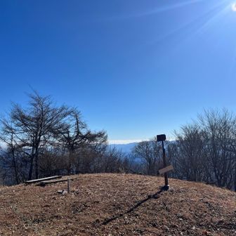木々があって眺望は微妙