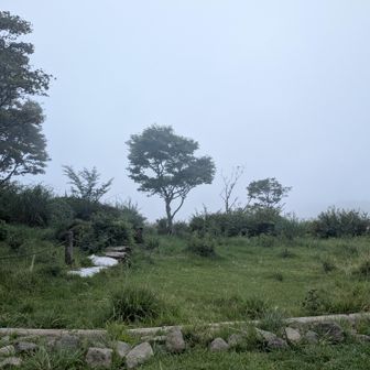 なんも見えん、、、