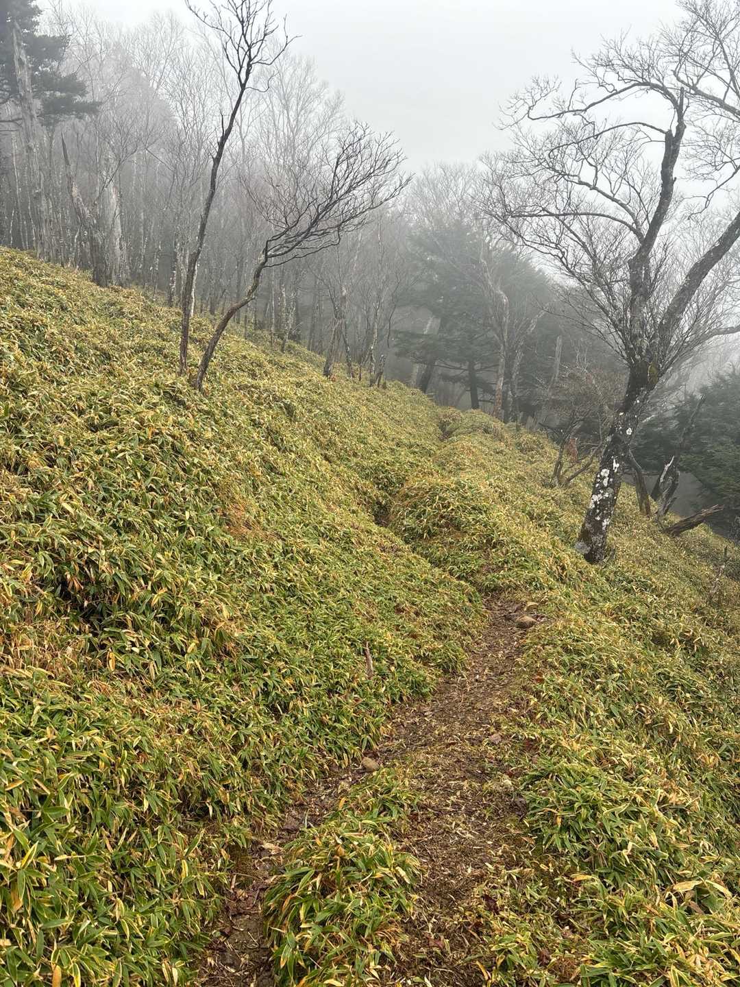 いい感じ