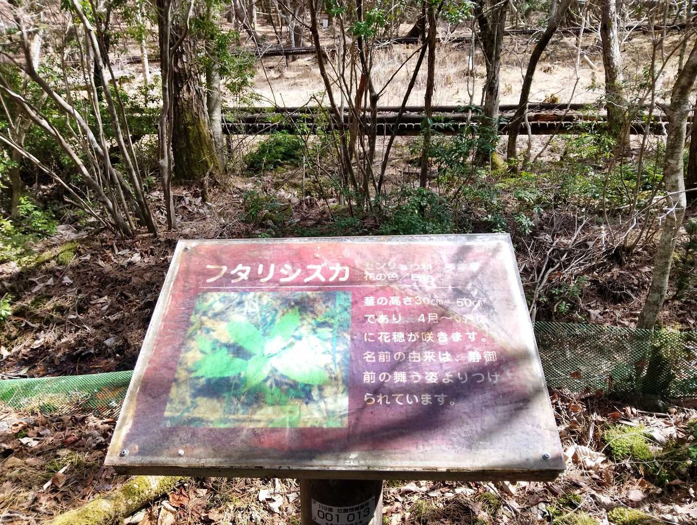 フタリシズカ
競馬のふざけた競走馬の名前に出てきそうだ