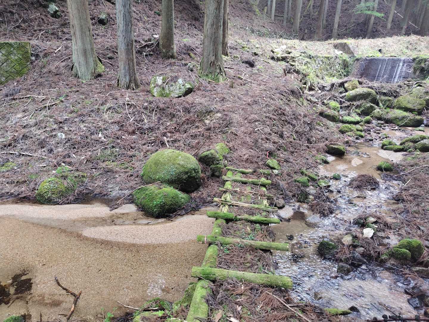 麓まで降りてくると怪しげな木の橋がいくつかあって、これが最後の橋
この橋を渡ると林道に出て、、、。