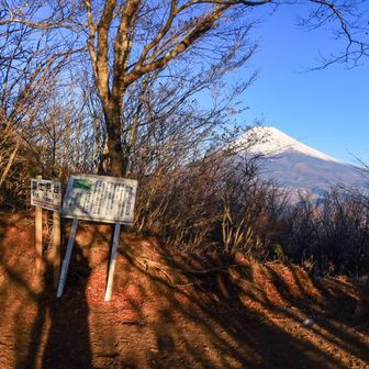 富士見台てとこね。あんまり富士山見えないけど。
思い切って周りの木々を伐採しちゃえばよく見えると思うな〜