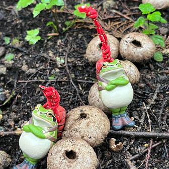 🐸ホコリタケワールド🍄‍🟫
