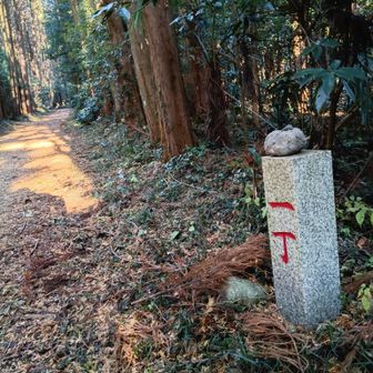 一合目、ということかな？