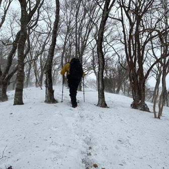 風は最初からあったがさらに風が強くなってくる