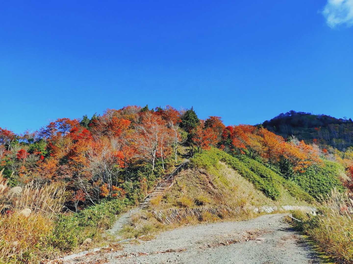 こちらから再び登山道へ