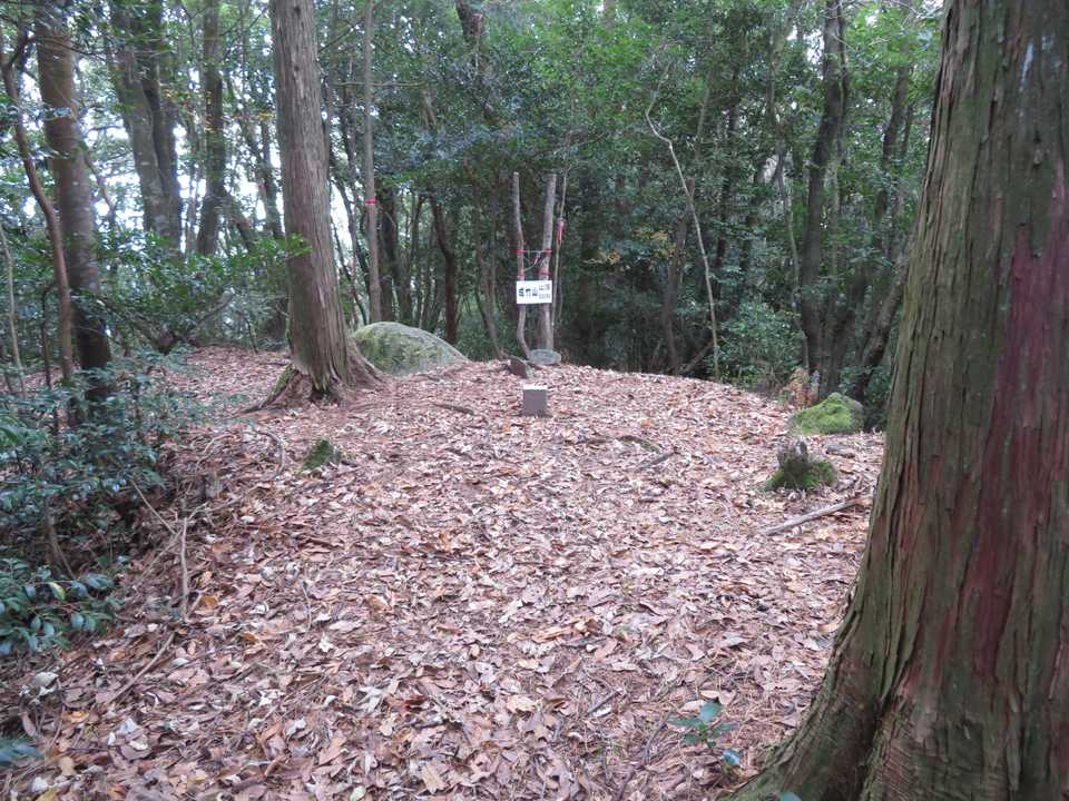 成竹山(580m)山頂